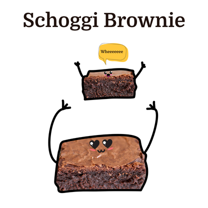 Schoggi Brownies